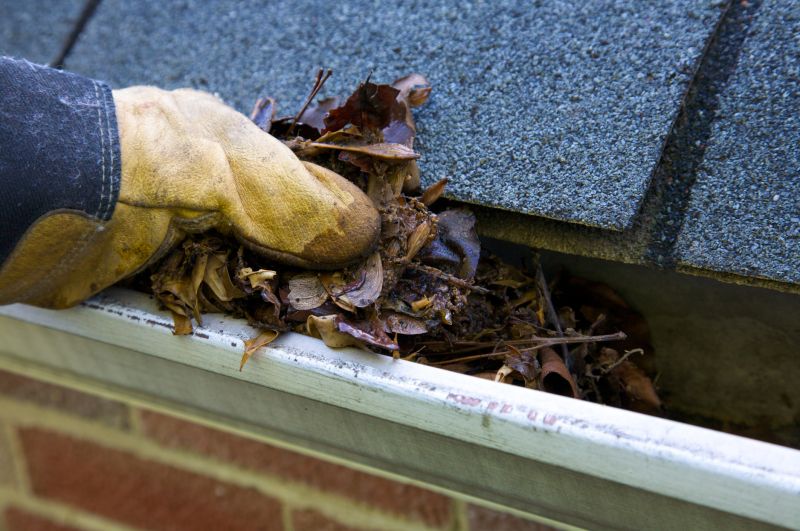 Clogged Gutter Clearing