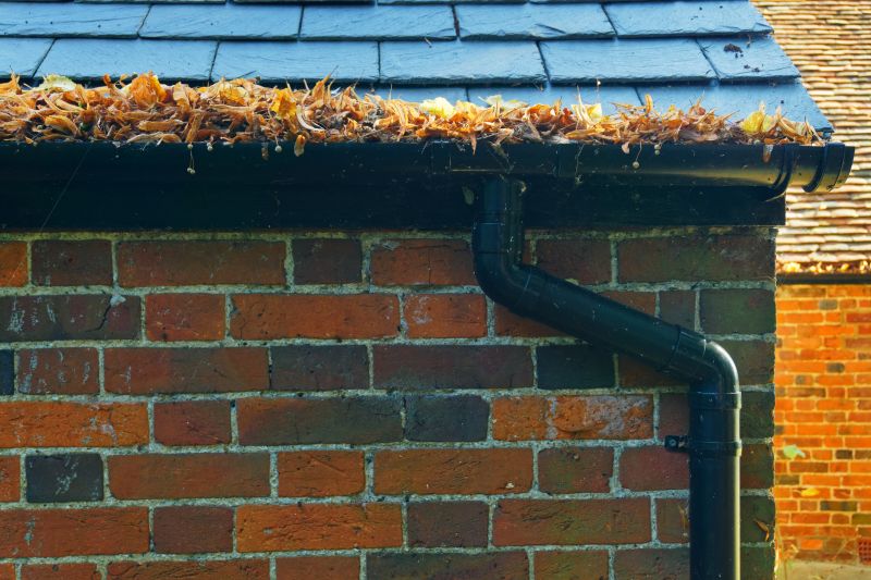 Gutter Blockage Removal