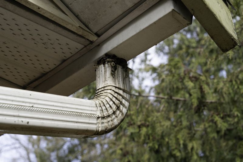 Downspouts Clear and Functional