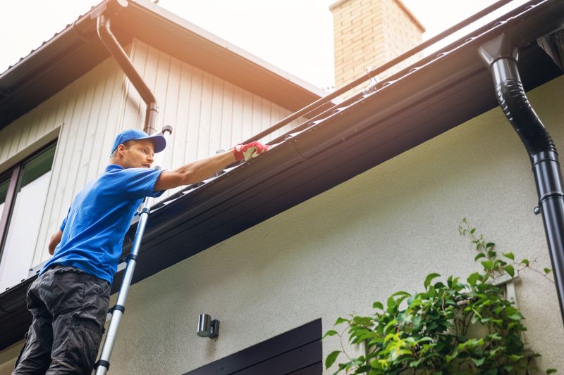 Gutter Cleaning Service