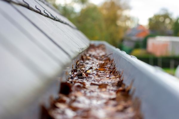 Commercial Gutter Cleaning in Ashburn