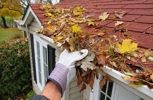 Rain Gutter Cleaning Service in Ashburn