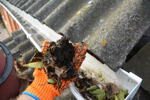 Seamless Gutter Cleaning in Ashburn