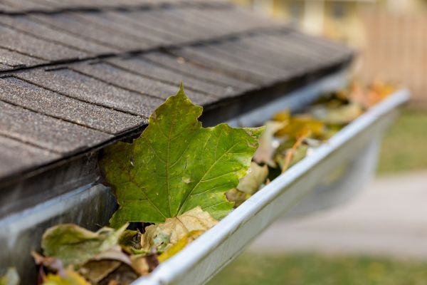 Gutter System Cleaning Service