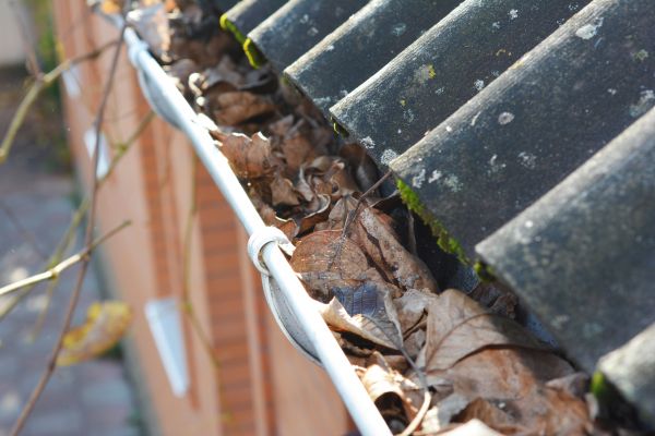 Home Gutter Cleaning in Ashburn