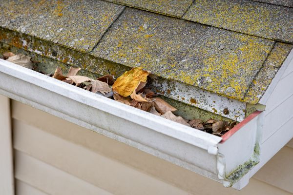 Garage Gutter Cleaning in Ashburn